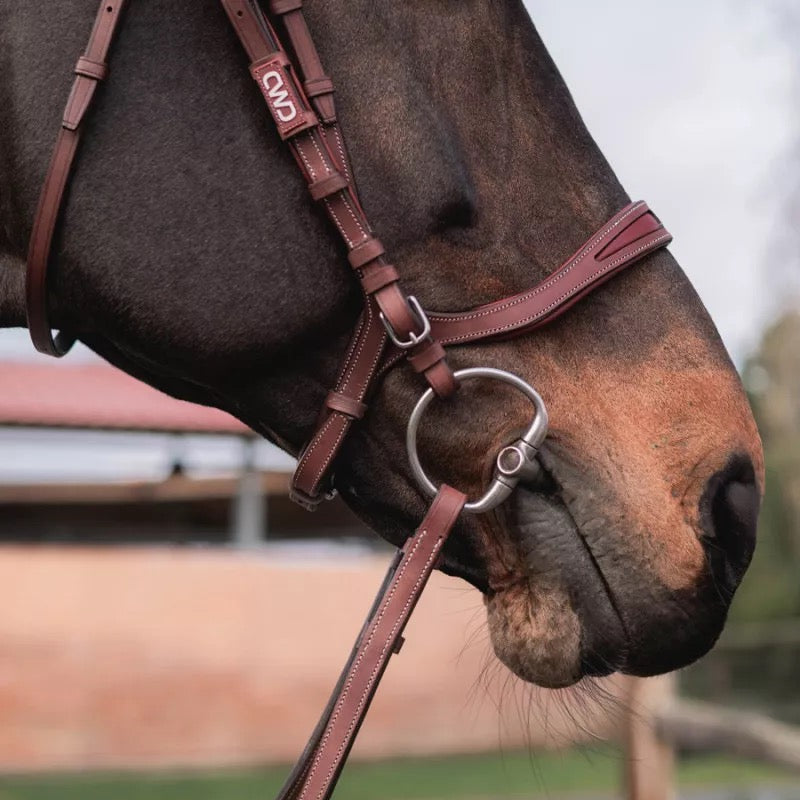 CWD FlexMotion Bridle