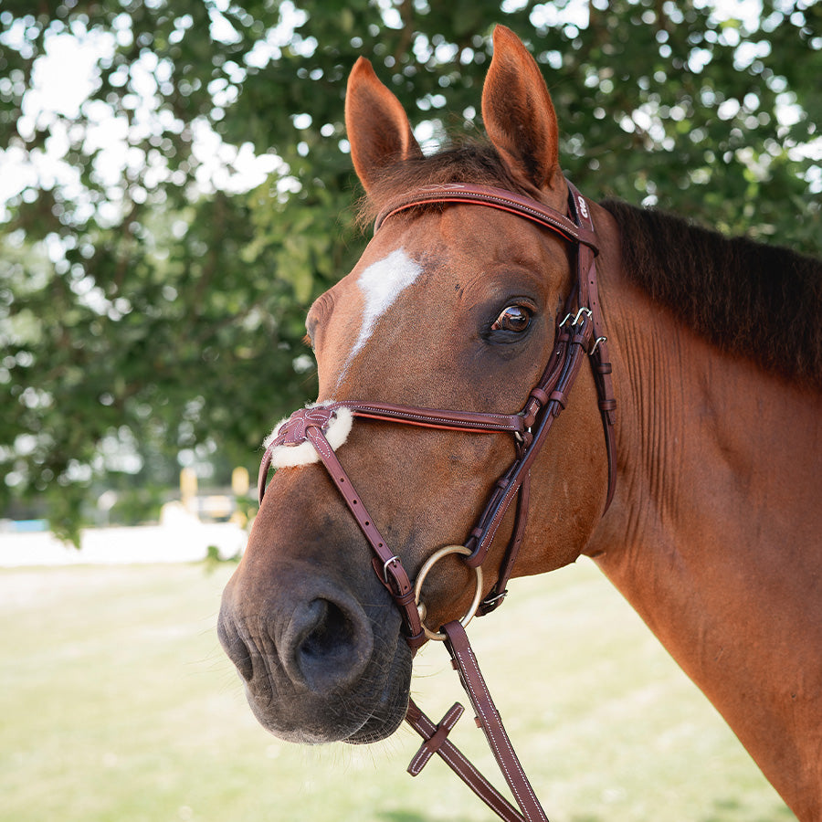 CWD Raised Figure 8 Noseband