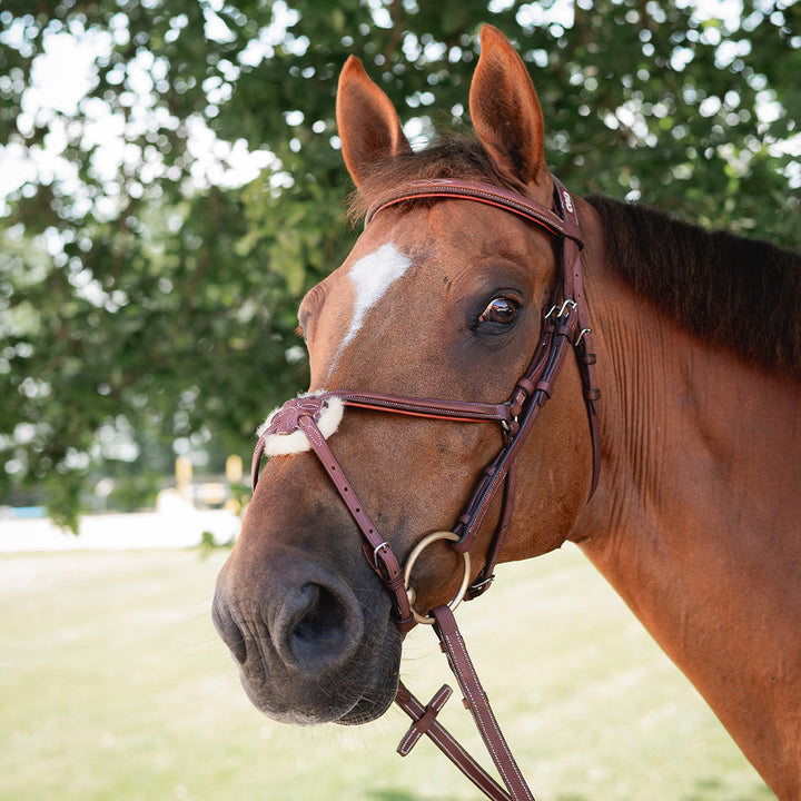 CWD Raised Figure 8 Noseband