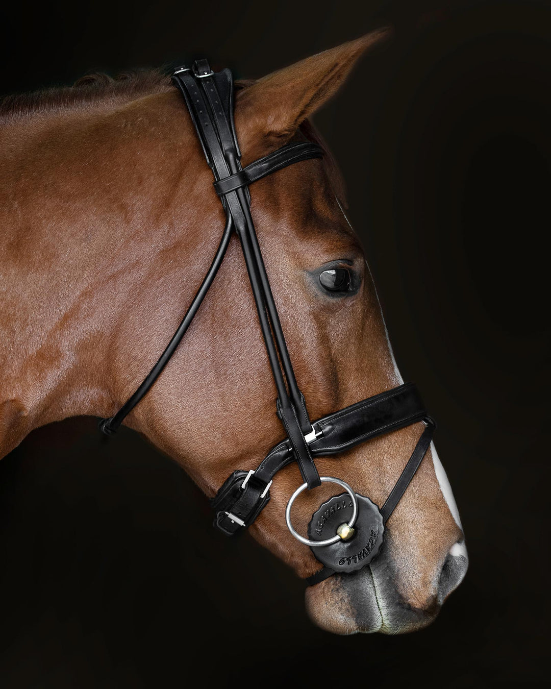Acavallo Gel Bit Guard