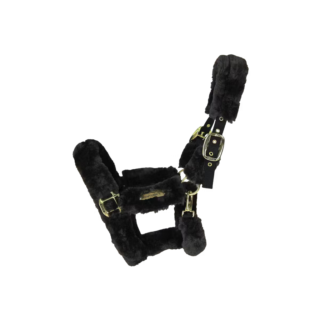 Kentucky Horsewear Sheepskin Shipping Halter