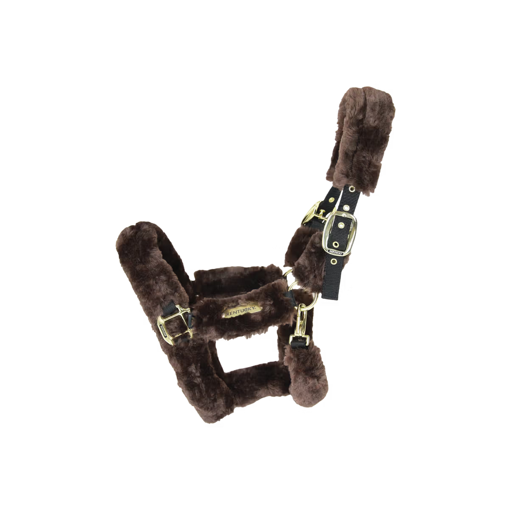 Kentucky Horsewear Sheepskin Shipping Halter
