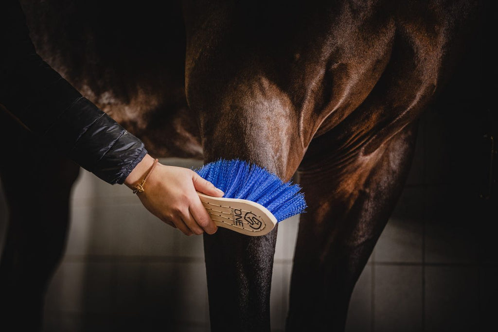 One Equestrian Medium Dandy Brush