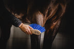 One Equestrian Medium Dandy Brush