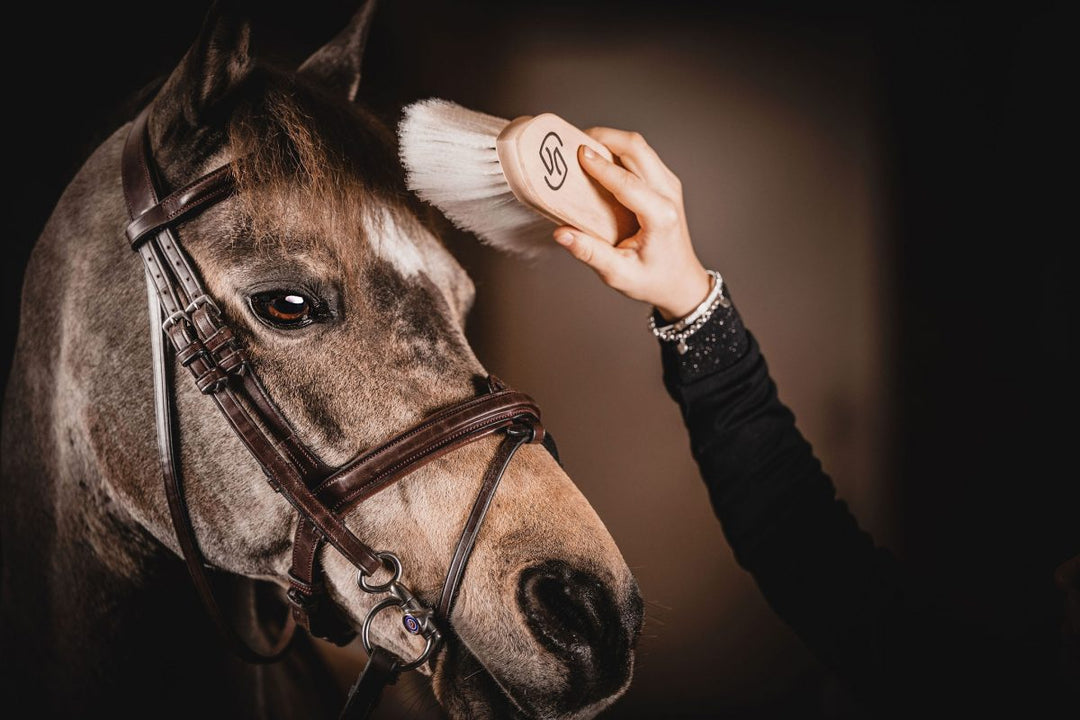 One Equestrian Extra Soft Dandy