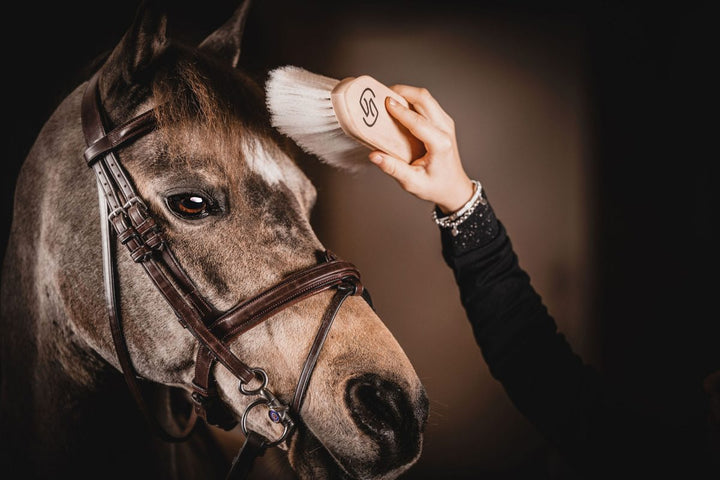 One Equestrian Extra Soft Dandy