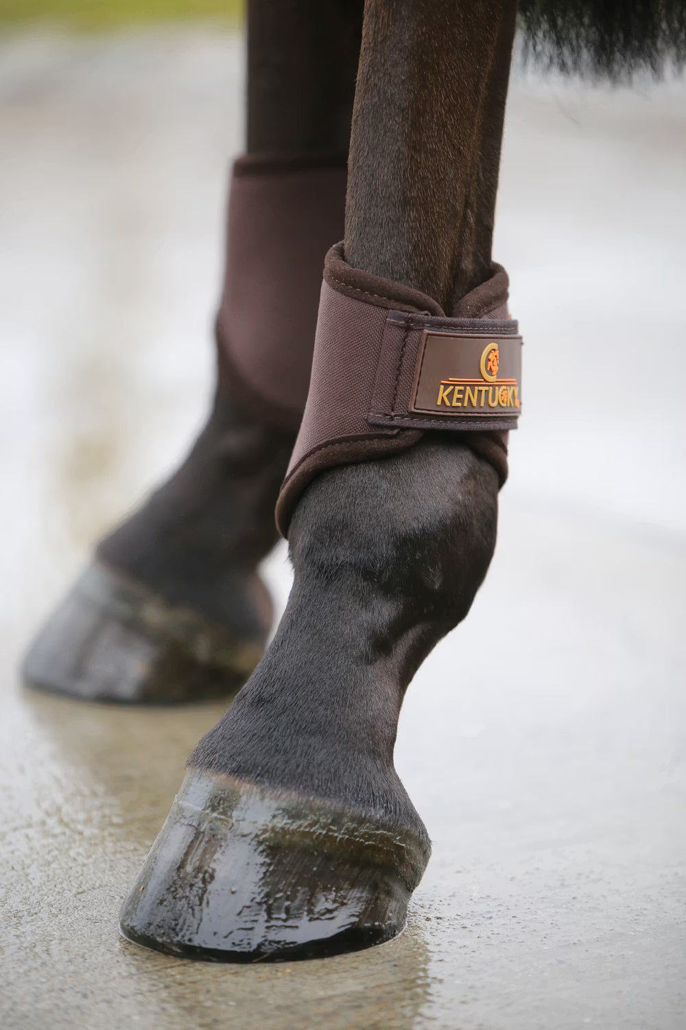 Kentucky Horsewear Short 3D Spacer Turnout Boot