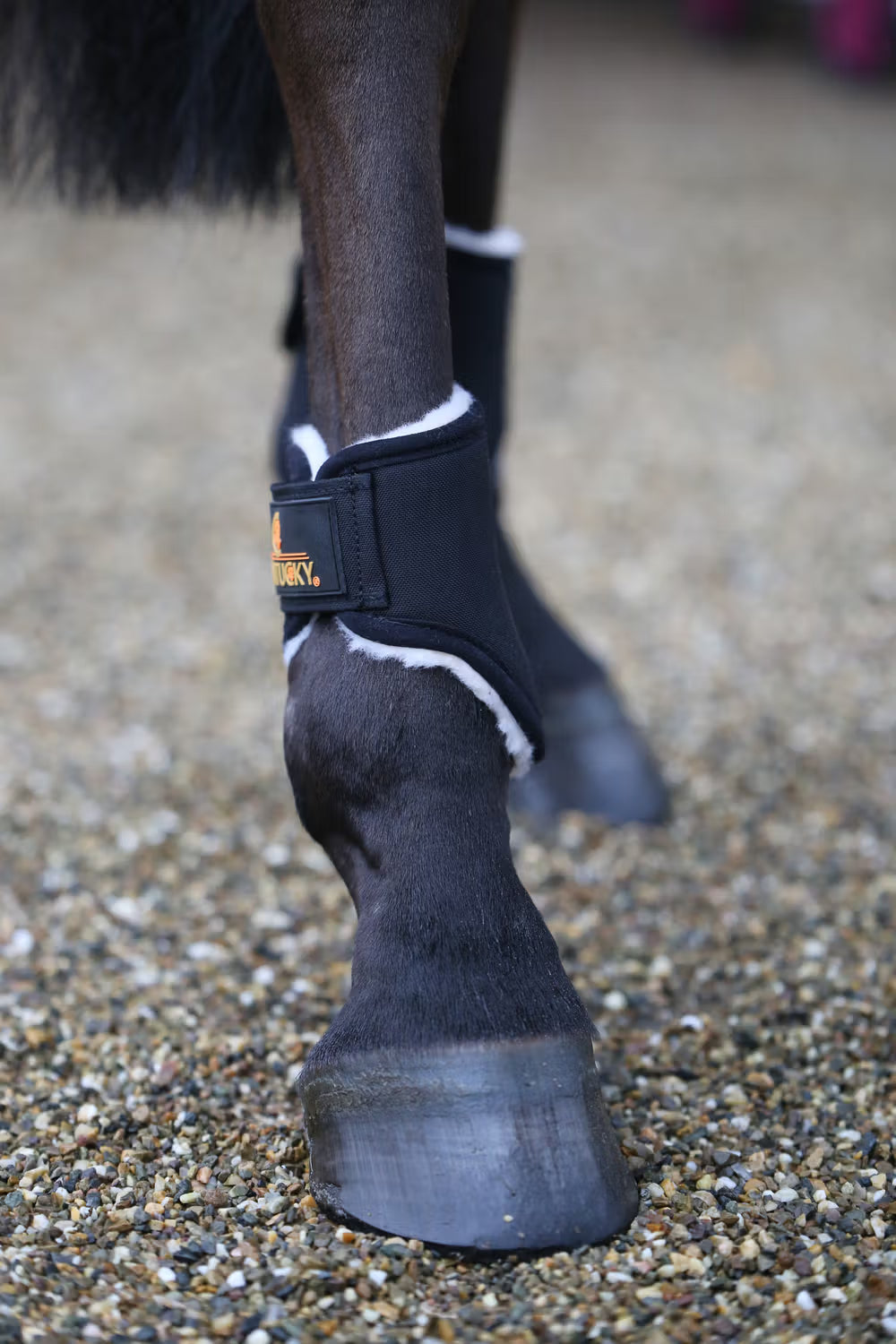 Kentucky Horsewear Short Solimbra Turnout Boots