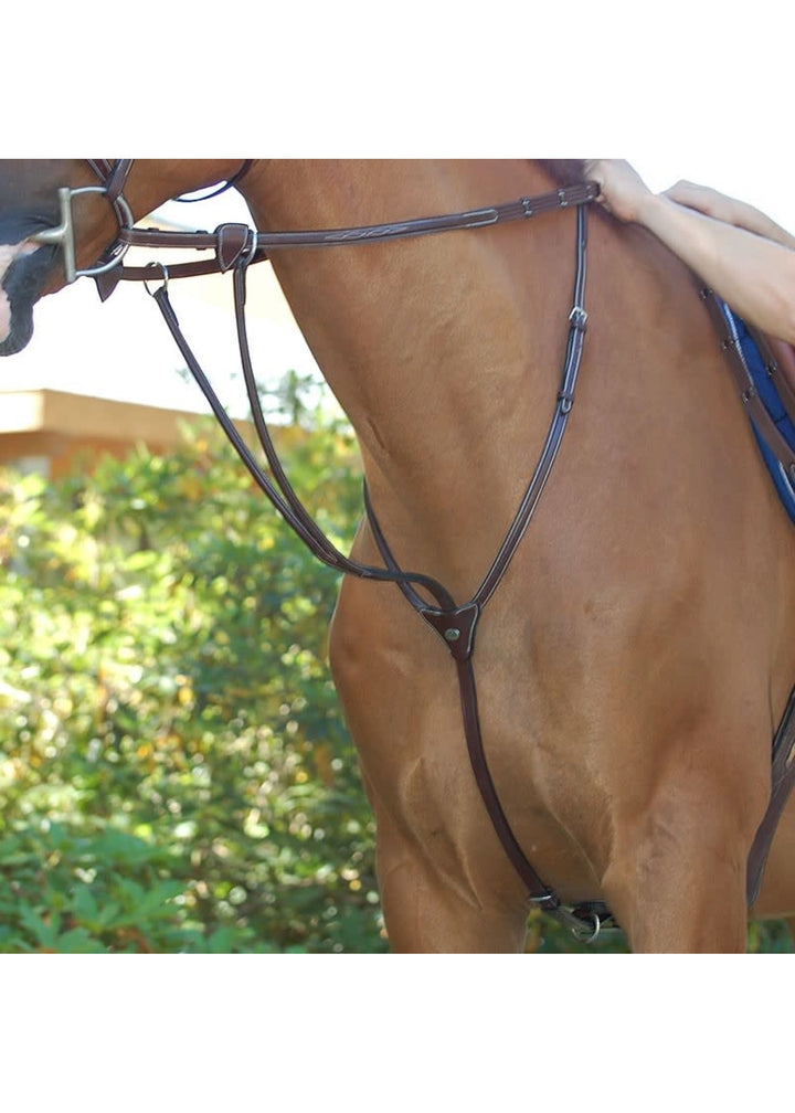 Dyon Running Martingale
