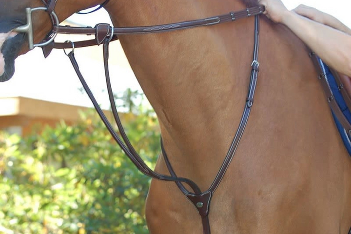 Dyon Running Martingale