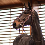 CWD FlexMotion Bridle