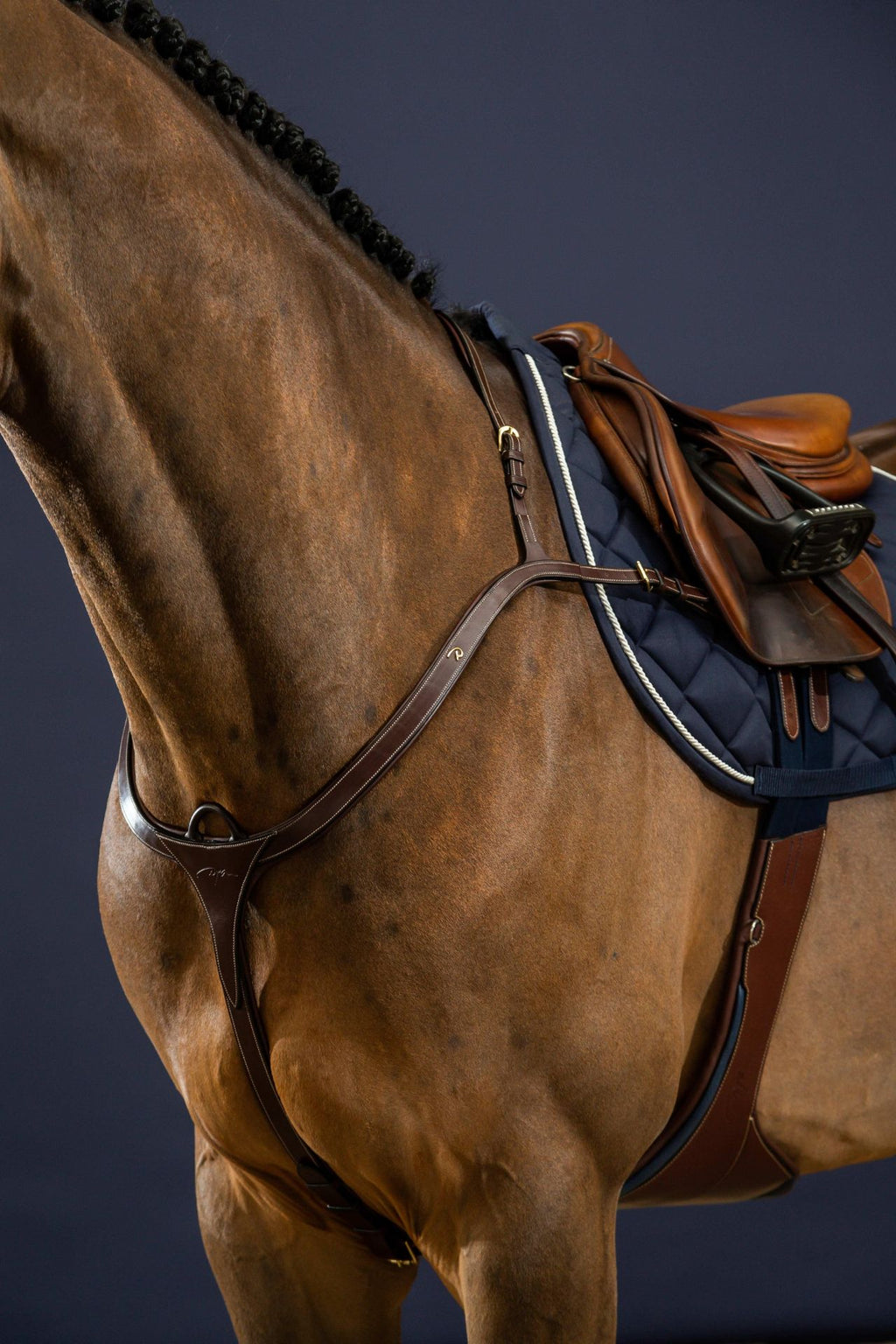 Dyon Long Bridge Breastplate