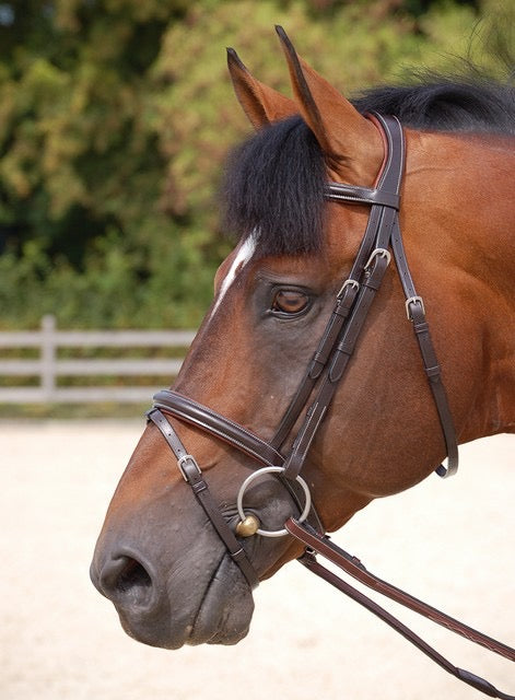 Dyon “Classic” Flash Noseband Bridle