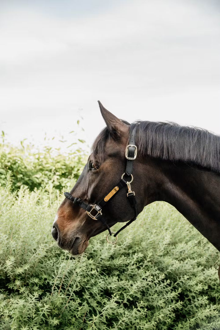 Kentucky Horsewear Control Halter