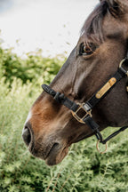 Kentucky Horsewear Control Halter
