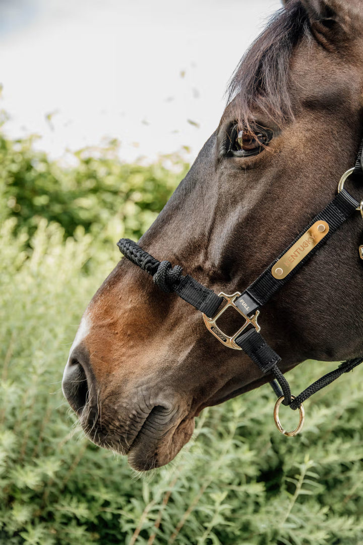 Kentucky Horsewear Control Halter
