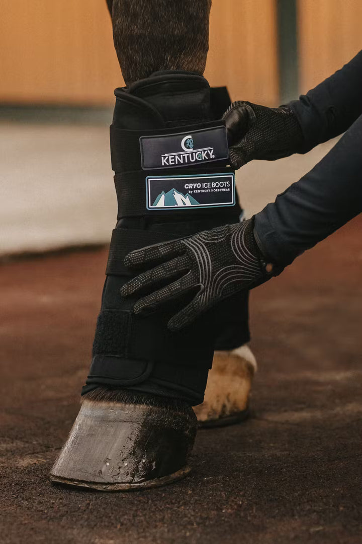Kentucky Horsewear Cryo Ice Boots