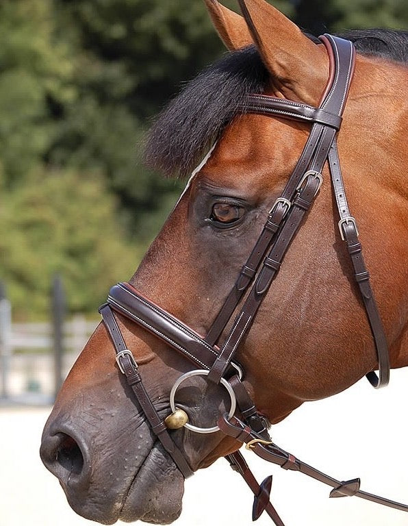 Dyon Working Collection Classic Crank Noseband Bridle