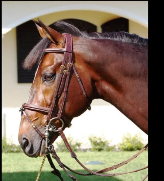 Dyon Double Bridle