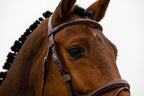 Horse Blinkers - Leather Bridle Blinkers by Trust Equestrian