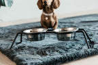 Kentucky Horsewear Dog Bowl Comfort Feeder