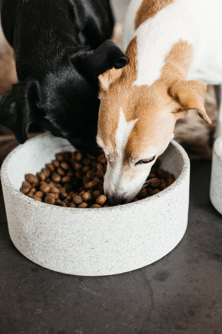 Kentucky Horsewear Dog Bowl Granite