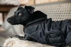 Kentucky Horsewear Dog Coat