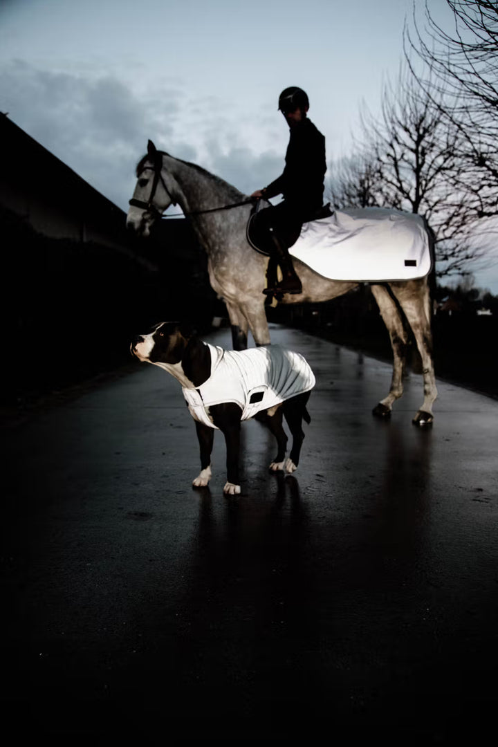 Kentucky Horsewear Dog Coat Reflective & Water Repellent