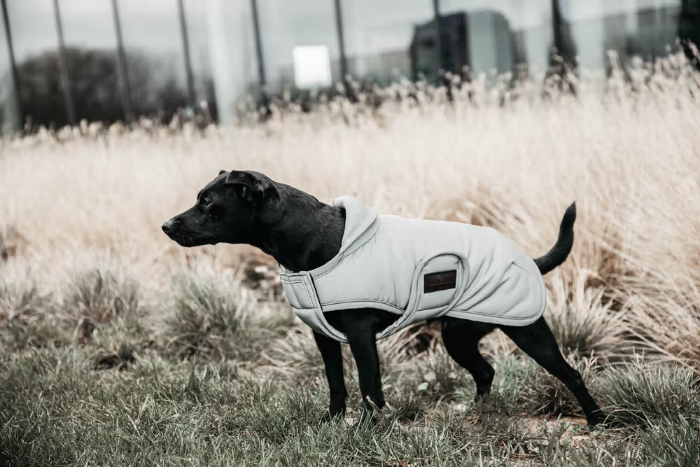 Kentucky Horsewear Dog Coat Reflective & Water Repellent