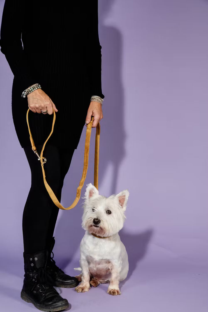 Kentucky Horsewear Dog Lead Velvet 200Cm