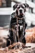 Kentucky Horsewear Dog Lead Velvet Leather