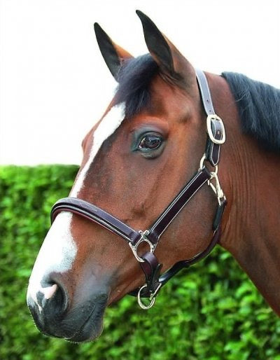 Dyon Working Collection Leather Head Collar
