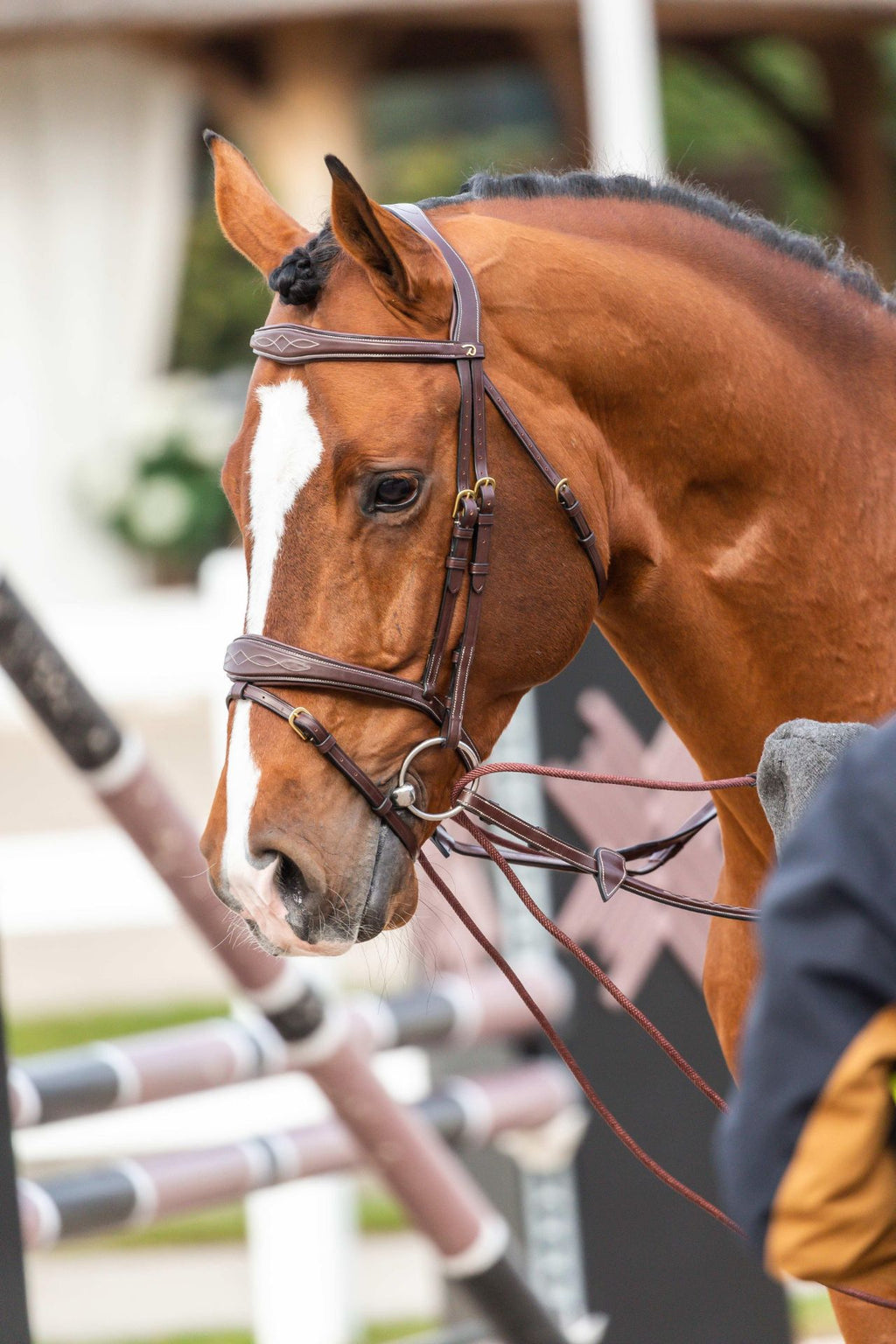 Dyon Leather / Nylon Draw Reins 5/8