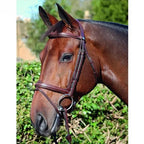 Dyon New English Collection Flash Bridle