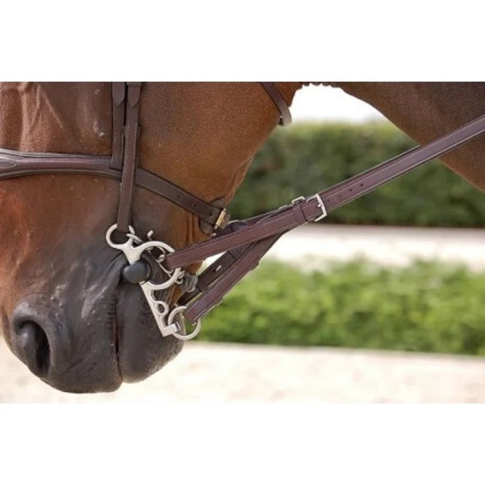 Dyon Converter Reins