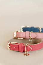 Kentucky Horsewear Dog Collar Soft Vegan Leather
