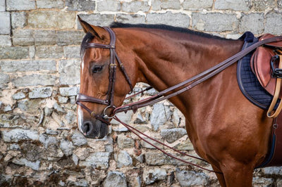 Dyon LEATHER / NYLON DRAW REINS 5/8
