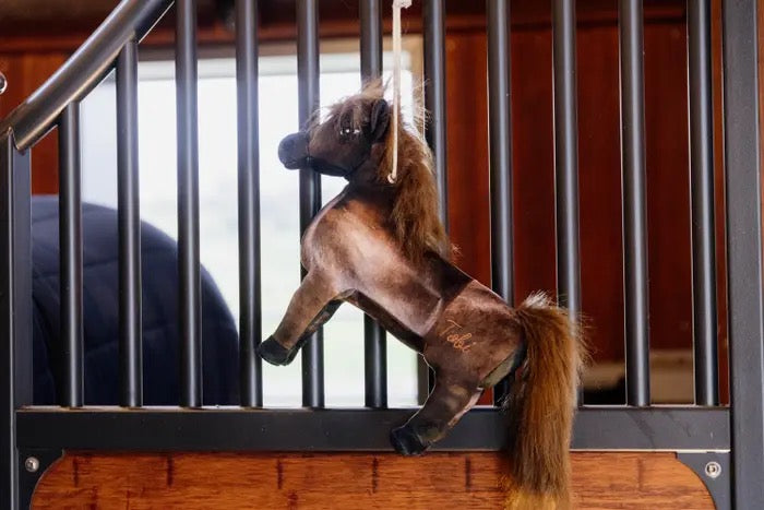 Kentucky Horsewear Relax Horse Toy Tableux