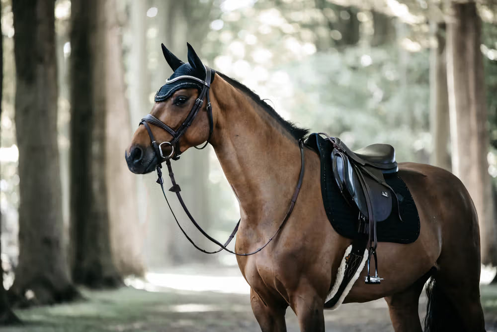 Kentucky Horsewear Fly Veil Wellington Stone & Pearl Soundless