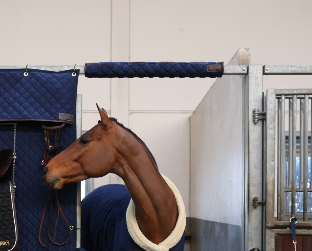 Kentucky Horsewear Head Protector