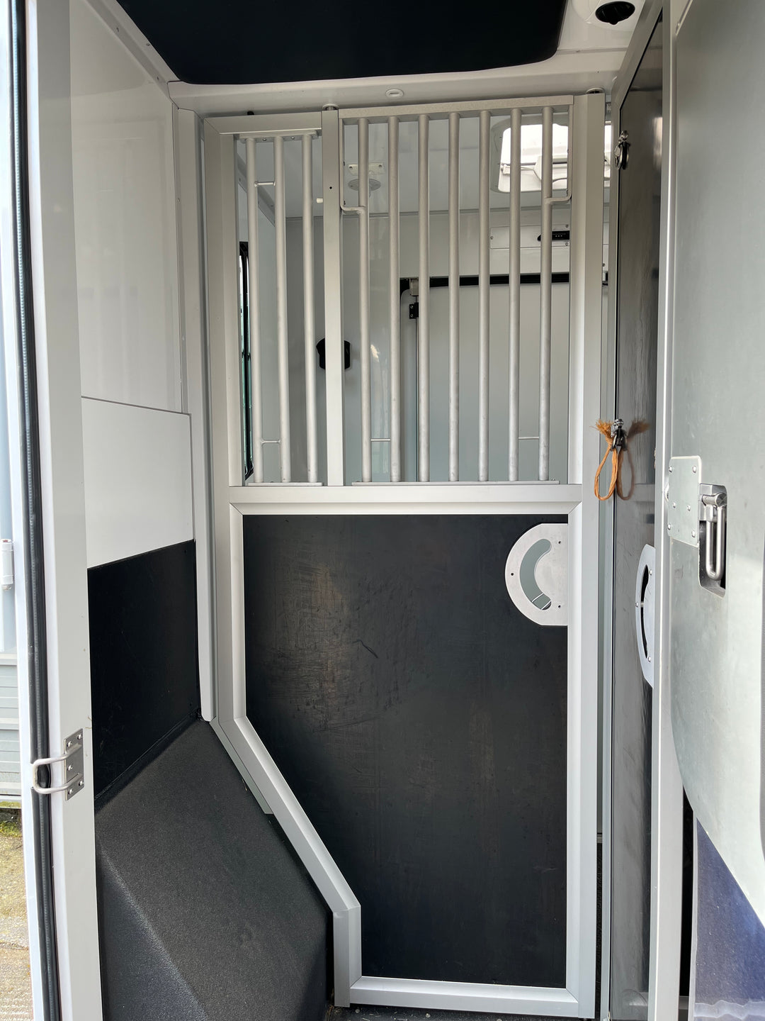 Theault - Lighteo Horsebox (2025)