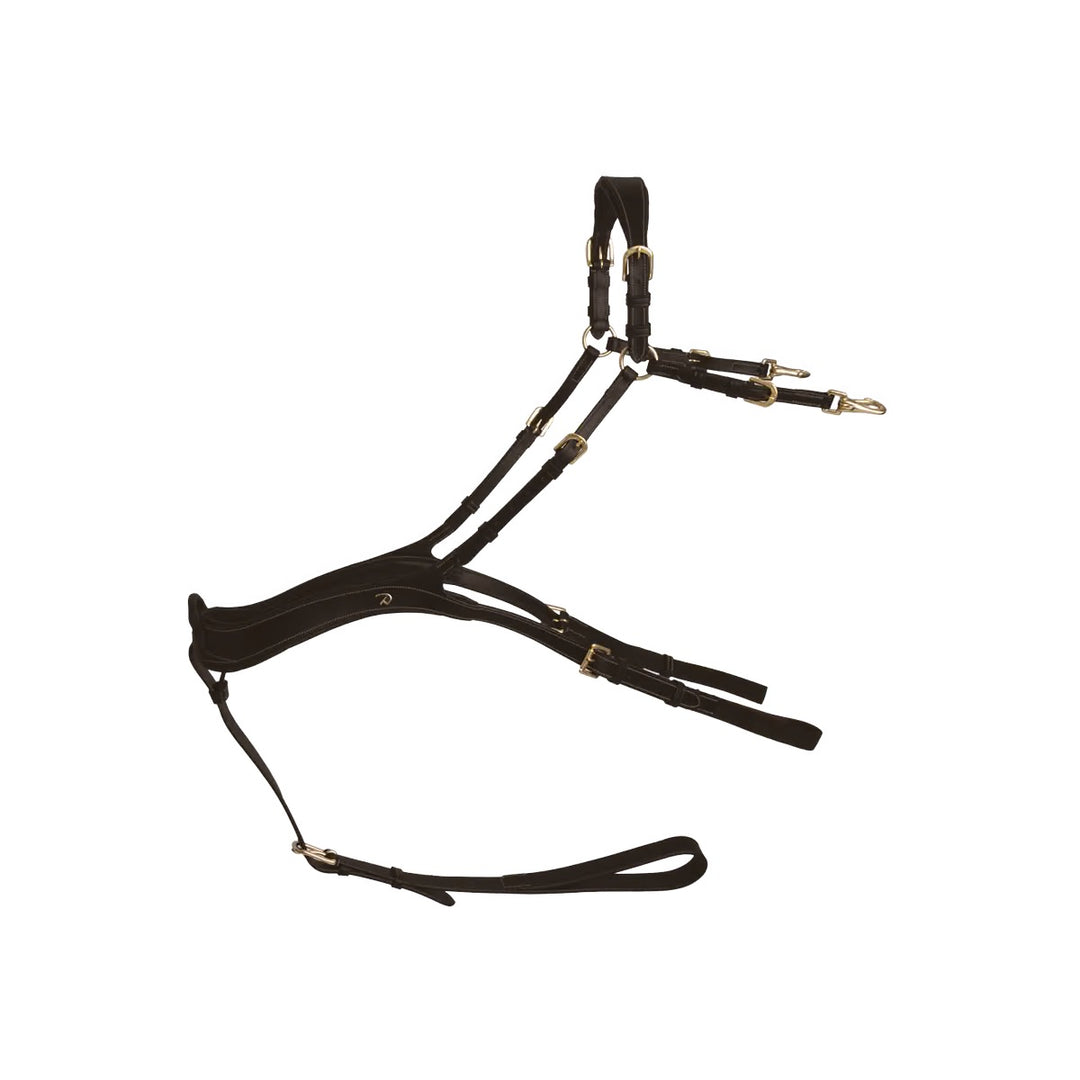 Dyon Anatomical Breastplate