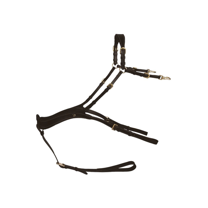 Dyon Anatomical Breastplate