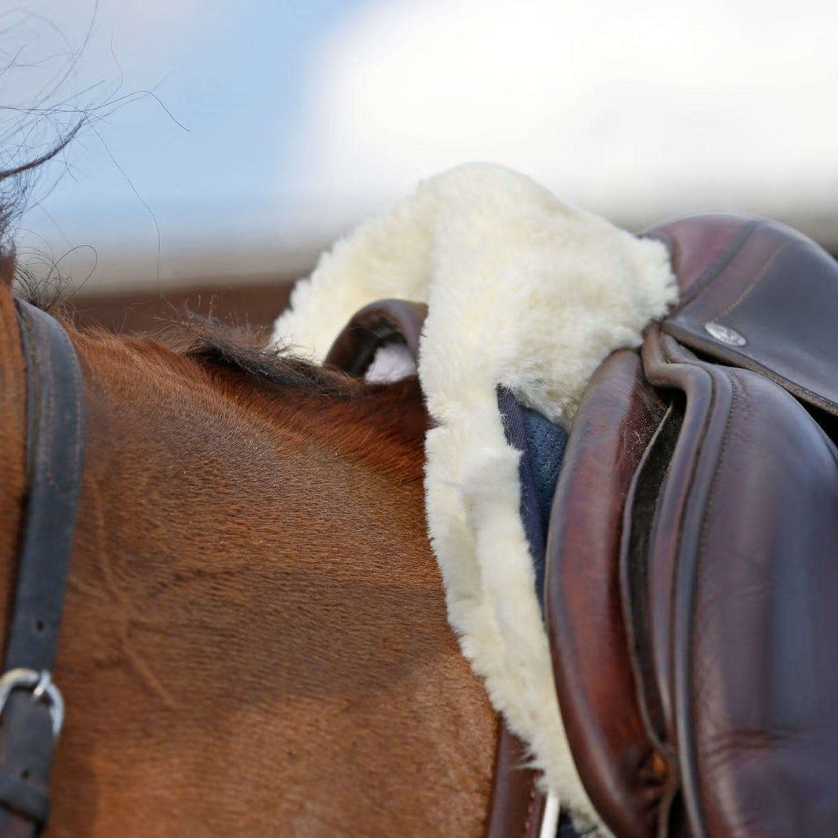 Kentucky Horsewear Sheepskin Half Pad Absorb