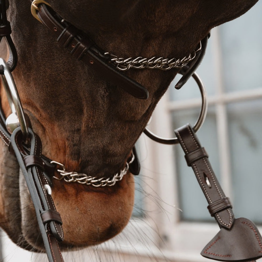 Dyon Figure 8 Noseband with Chain