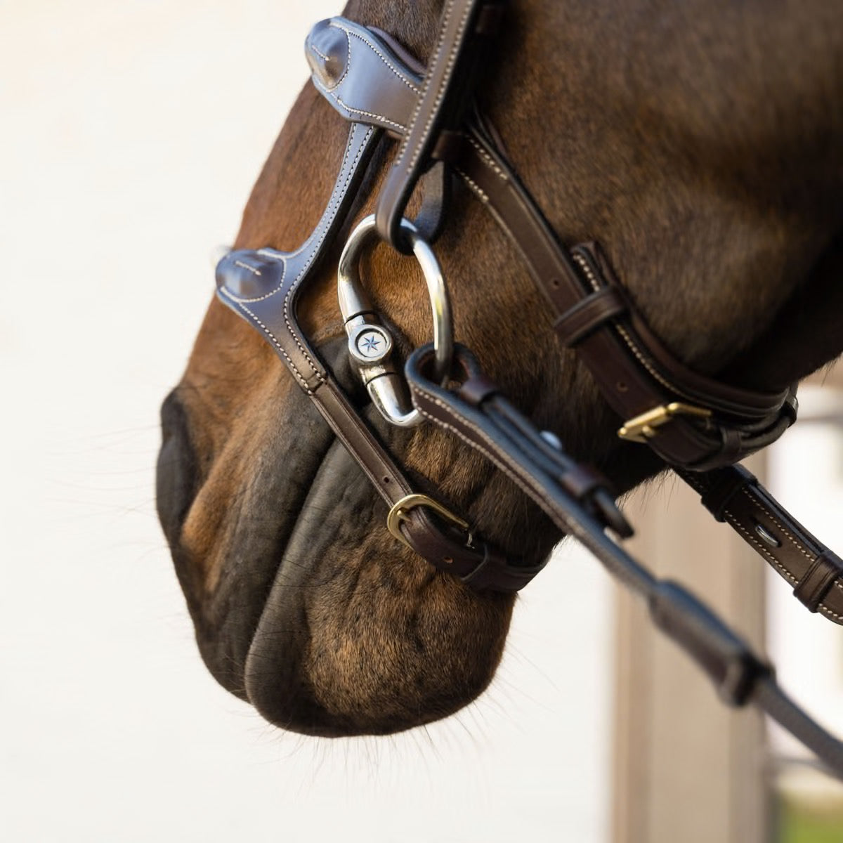 Dyon Double Rope Noseband