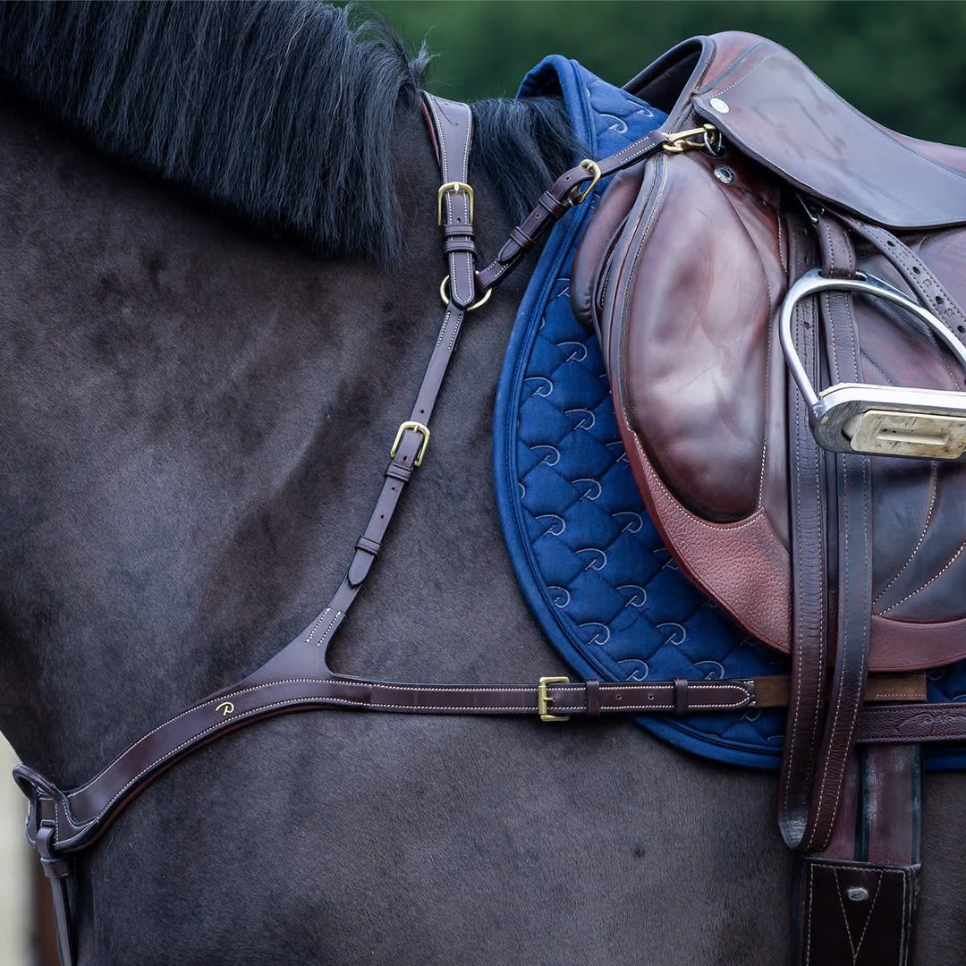 Dyon Anatomical Breastplate