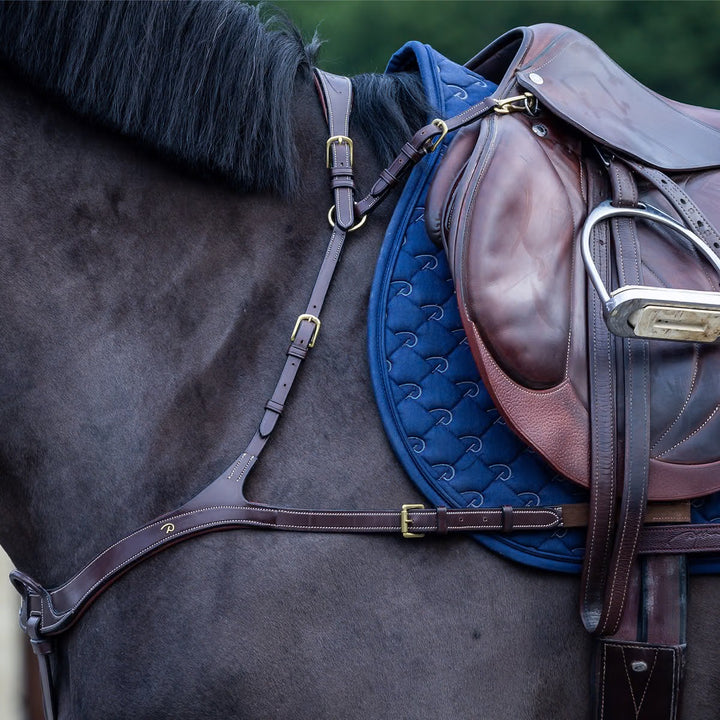 Dyon Anatomical Breastplate