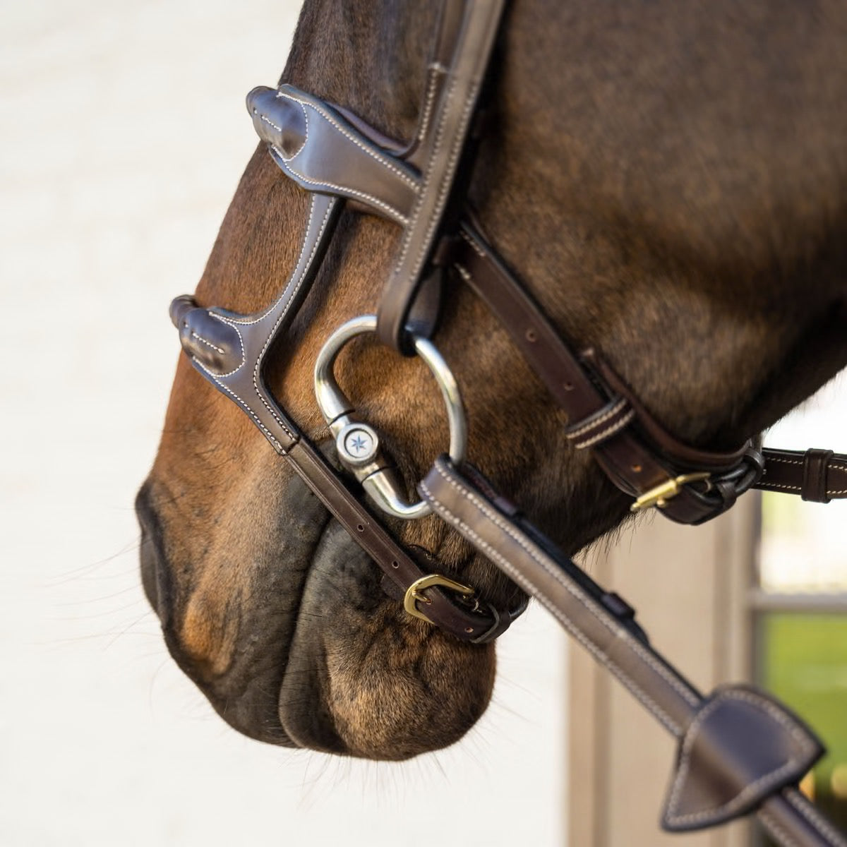 Dyon Double Rope Leather Covered Noseband