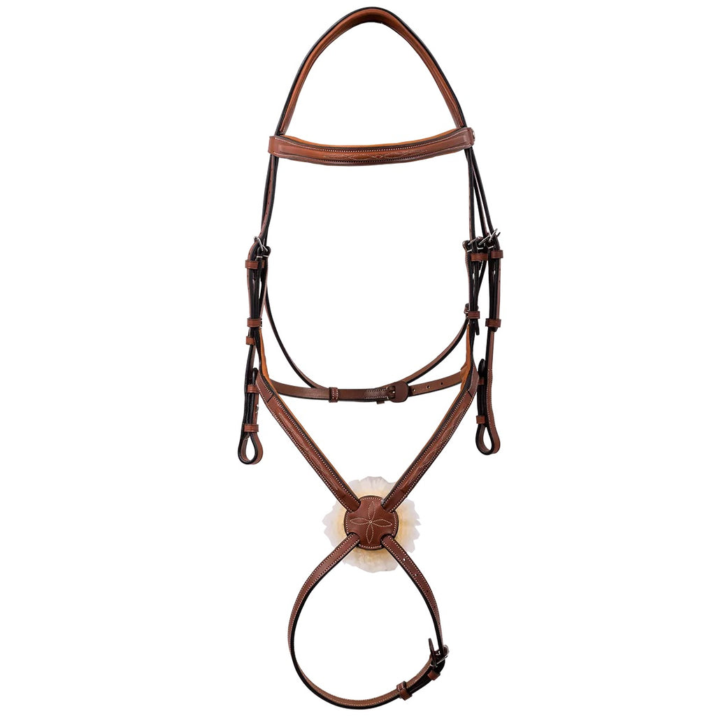 Butet raised figure 8 sports noseband bridle